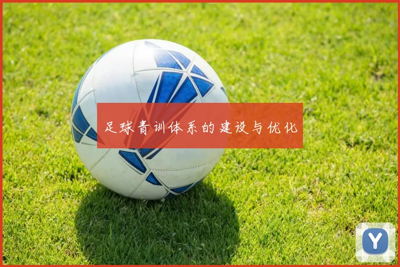 足球青训体系的建设与优化